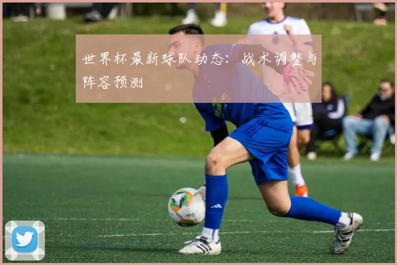 世界杯最新球队动态:战术调整与阵容预测