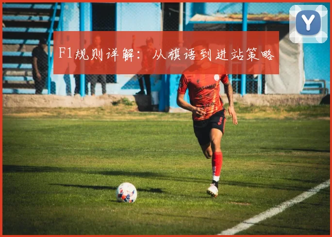F1规则详解:从旗语到进站策略