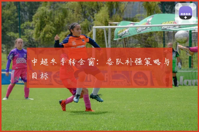 中超冬季转会窗：各队补强策略与目标