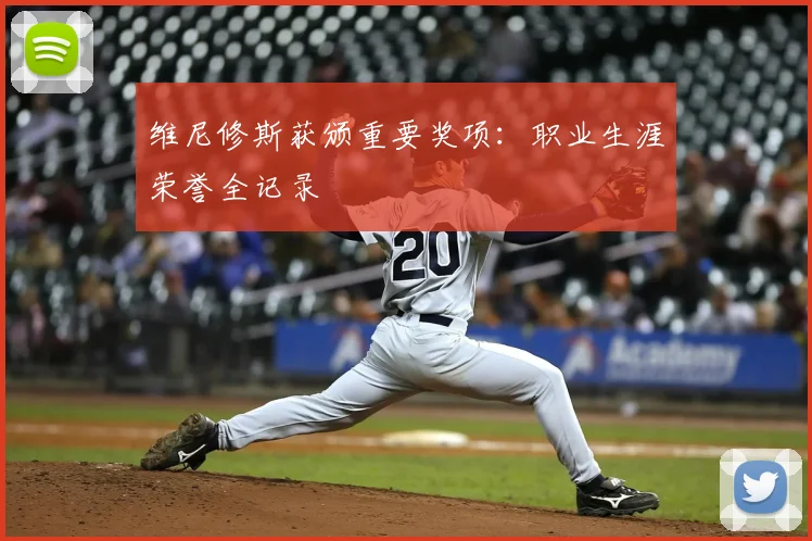 维尼修斯获颁重要奖项:职业生涯荣誉全记录